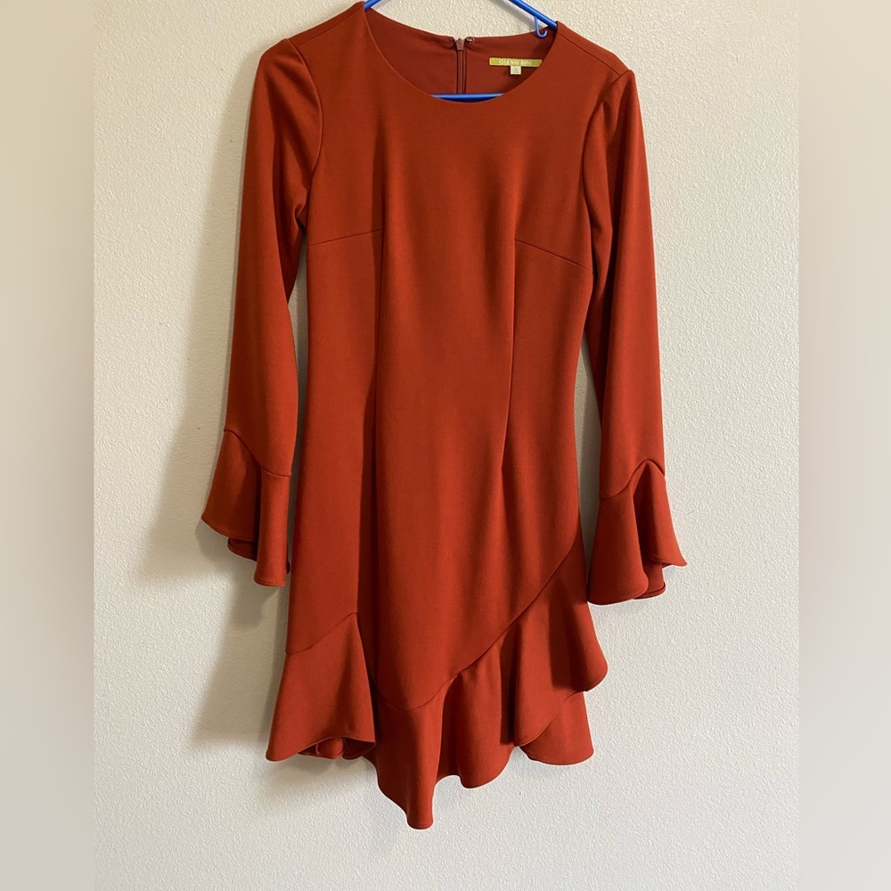 Gianni bini  size 2 burnt orange long sleeve with ruffle
